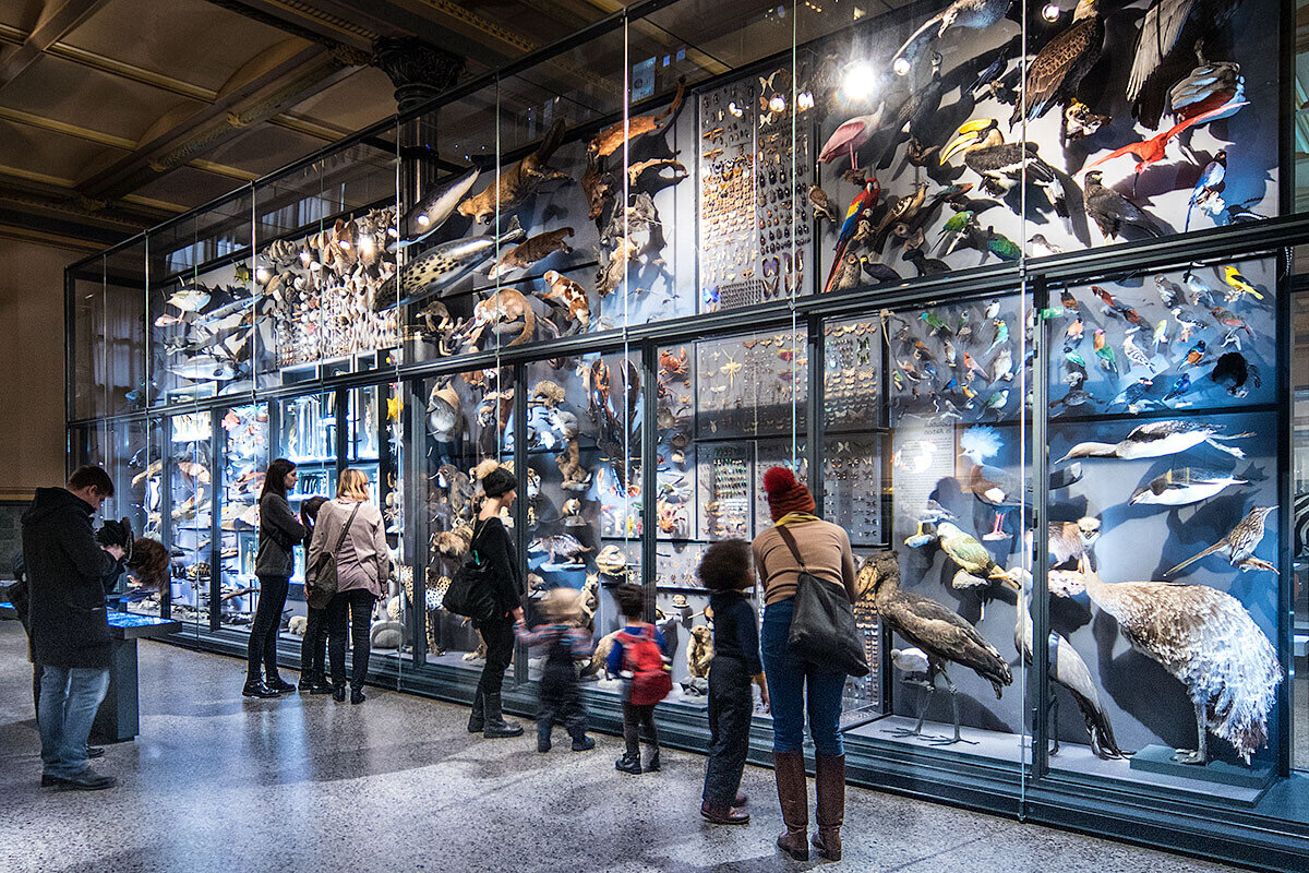 Visitors in the Natural History Museum Berlin - Biodiversity Wall Evolution Hall ©HwaJa_Goetz_MfN