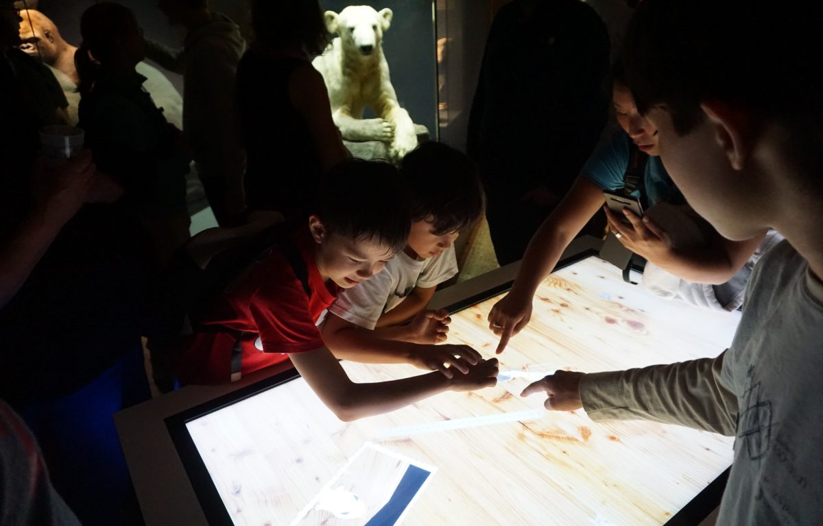 Multitouch software with object recognition and 3D dinosaurs at the Natural History Museum