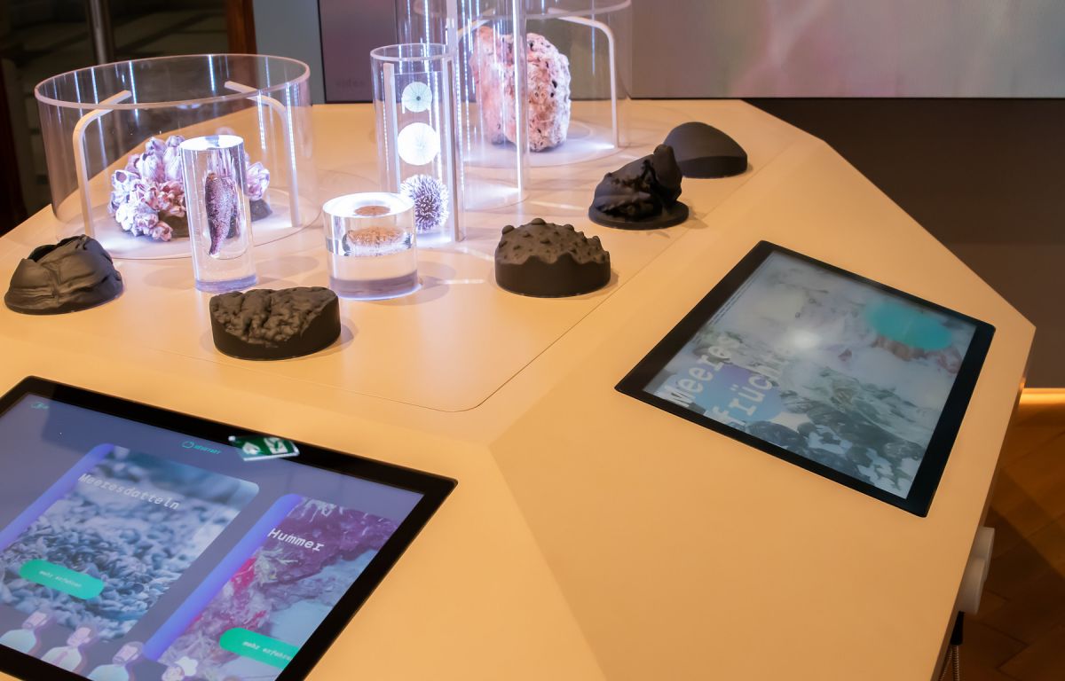 interactive installation in the museum with exhibits and touch screens