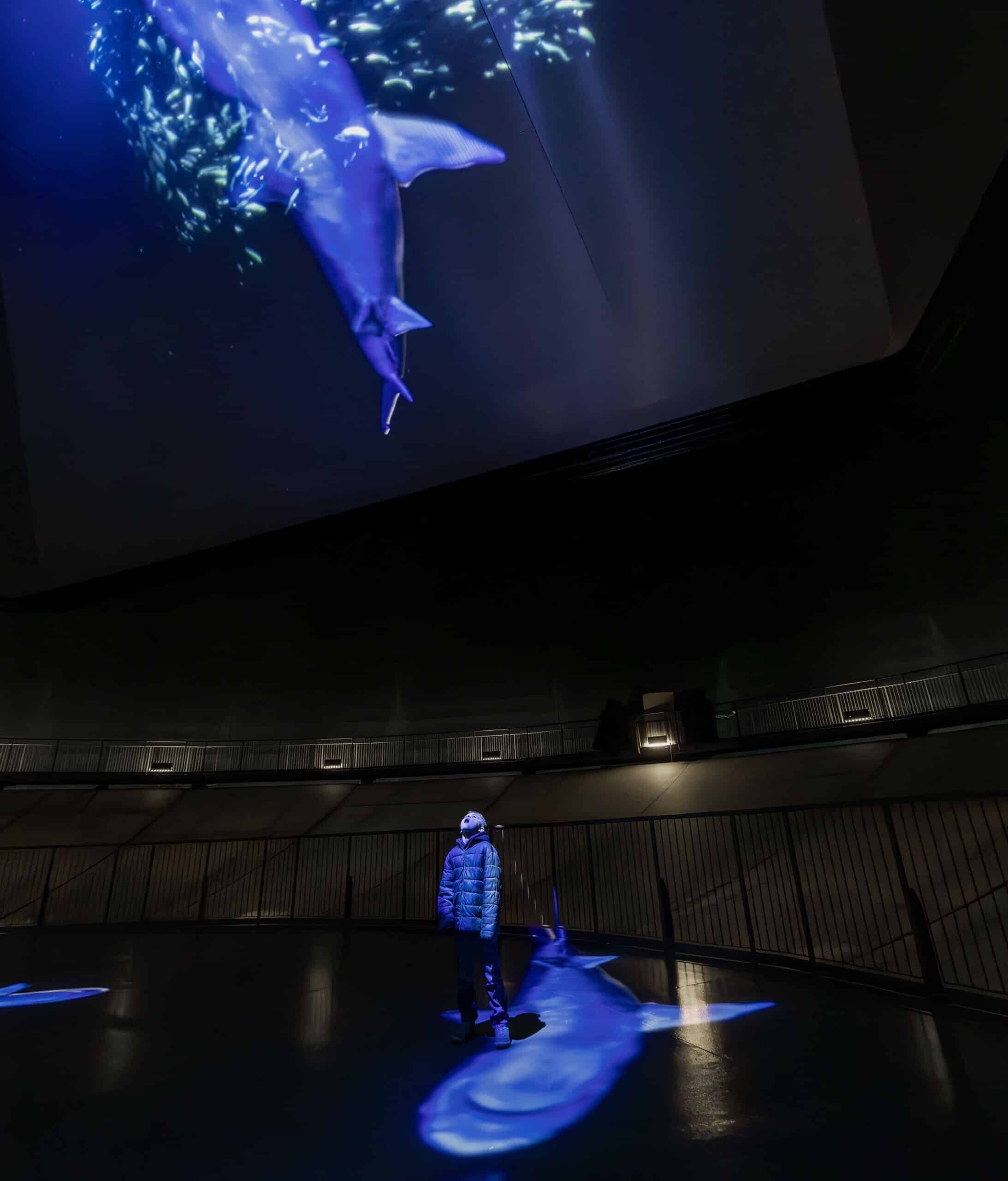 Gasometer Oberhausen Exhibition The Wave